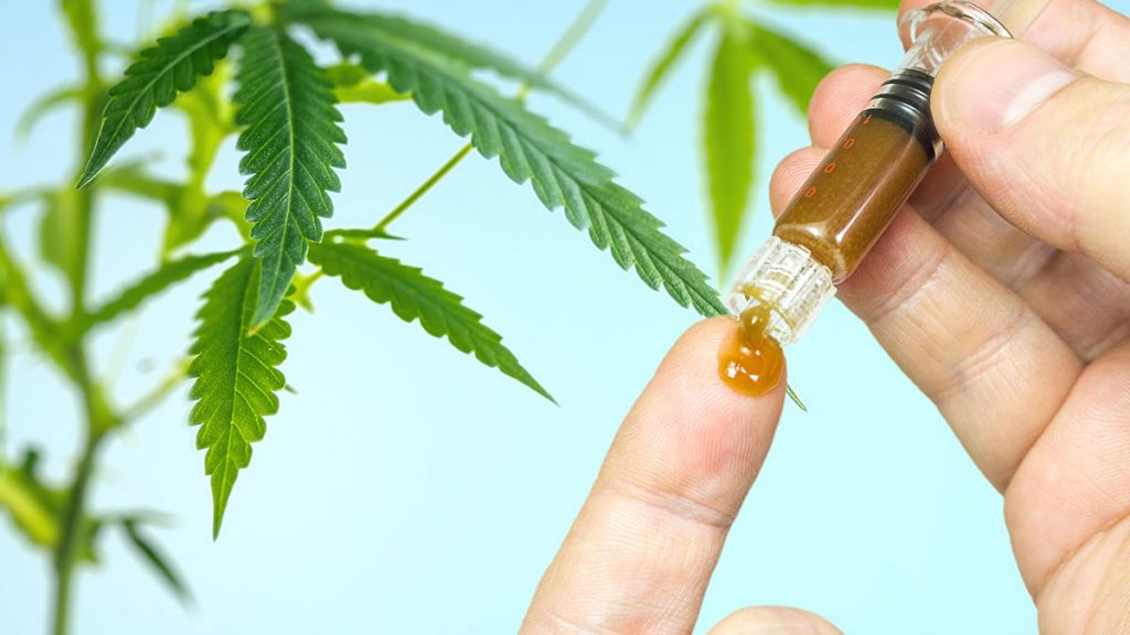 CBD Power Paste