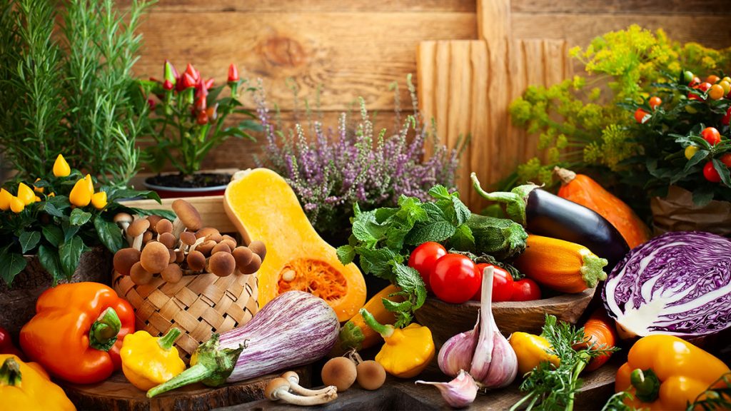 Pflanzenbasierte Ernährung
