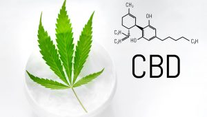 CBD in der Kosmetik