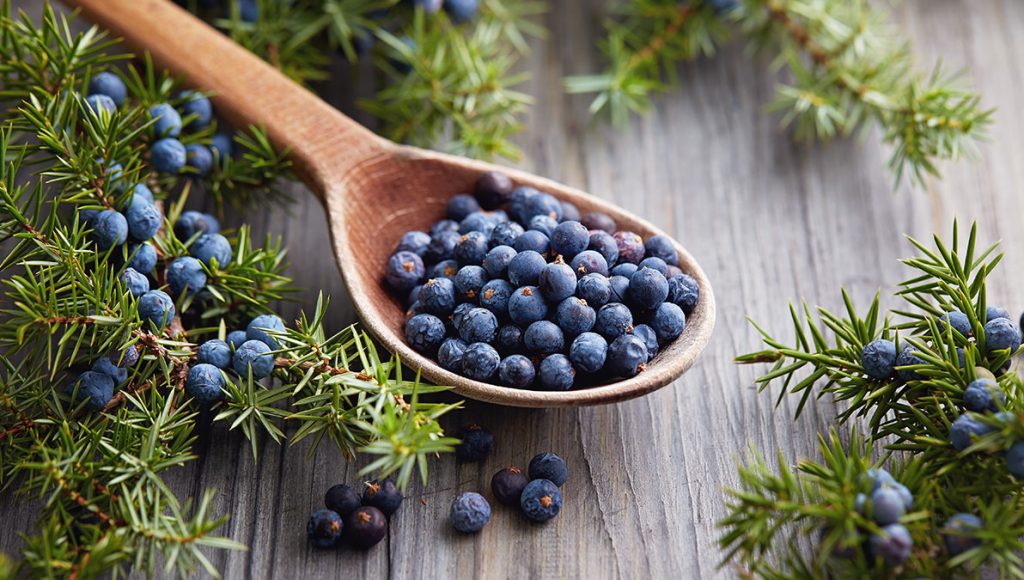 Wacholderbeeren